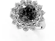 Round Floral Double Halo Engagement Ring Setting for a Black Center | Plain Band | Platinum