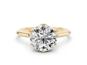 Round Cathedral Solitaire Engagement Ring Setting | Tulip Gallery | Yellow Gold