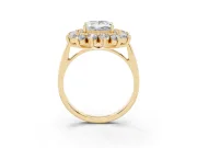 Princess Cut Floral Double Halo Engagement Ring Setting | Plain Band | Yellow Gold