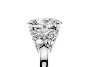Oval Cut Diamond Solitaire Floral Ring Set in White gold with Marquise Petals and Prong Setting
