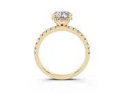 3.5 Carat Round Cut Pavé Solitaire Ring Set in Yellow gold with Round Band Accents and Prong Setting