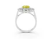 Round Floral Double Halo Engagement Ring Setting for a Fancy Yellow Lab-Grown Diamond | Plain Band | Sterling Silver