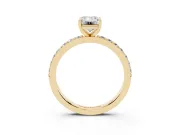 Emerald Cut Diamond Solitaire Set in Yellow gold with Round Pavé Band and Prong Setting