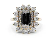 Emerald Cut Floral Double Halo Engagement Ring Setting for a Black Center | Plain Band | Yellow Gold
