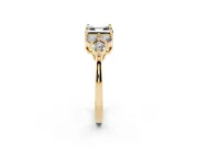 Asscher Cut Cluster Side Stone Engagement Ring Setting for a Black Center | Plain Band | Yellow Gold