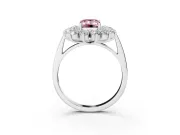 Emerald Cut Floral Double Halo Engagement Ring Setting for a Fancy Pink Lab-Grown Diamond | Plain Band | Platinum