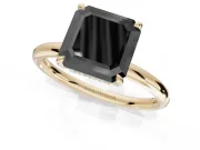 Asscher Cut Hidden Halo Engagement Ring Setting for a Black Center | Thin Plain Band | Yellow Gold