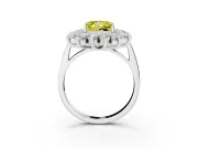 Princess Cut Floral Double Halo Engagement Ring Setting for a Fancy Yellow Lab-Grown Diamond | Plain Band | Platinum