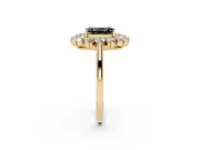 Emerald Cut Floral Double Halo Engagement Ring Setting for a Black Center | Plain Band | Yellow Gold