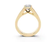 Cushion Cut Channel-Set Engagement Ring Setting | Princess Side Stones | Yellow Gold