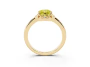 Radiant Cut Petal Halo Engagement Ring Setting for a Fancy Yellow Lab-Grown Diamond | Yellow Gold