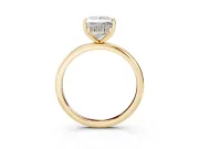 Princess Cut Micro-Prong Hidden Halo Engagement Ring Setting | Plain Band | Yellow Gold