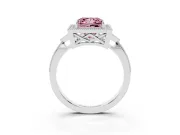 Princess Cut Milgrain Halo Engagement Ring Setting for a Fancy Pink Lab-Grown Diamond | Graduated Pavé | Platinum