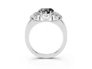 Fancy Black Heart Cut Diamond Three-Stone Ring Set in Platinum with Bold Center and Classic Band
