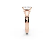 Radiant Cut Pavé Collar Solitaire Engagement Ring Setting | Wide Polished Band | Rose Gold