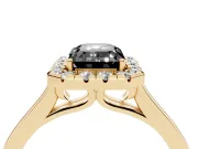 Fancy Black Emerald Cut Halo Round Diamond Solitaire Ring Set in Yellow gold with Pavé Band and Prong Setting