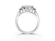 Pear-Shaped Halo Side Cluster Engagement Ring Setting | Graduated Channel Band | White Gold