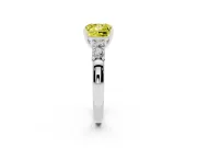 Fancy Yellow Princess Cut Diamond Five-Stone Prong Set Engagement Ring Set in Platinum with Channel Band