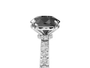 Round Hidden Halo Solitaire Engagement Ring Setting for a Black Center | Pavé Band | Platinum