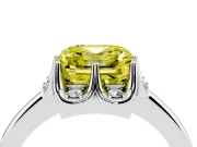 Asscher Cut Petal Halo Engagement Ring Setting for a Fancy Yellow Lab-Grown Diamond | Platinum
