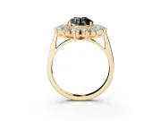 Round Floral Double Halo Engagement Ring Setting for a Black Center | Plain Band | Yellow Gold