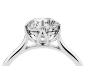Round Cut Diamond Solitaire Cathedral Ring Set in White gold with Prong Setting