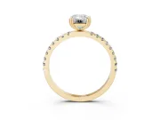 Emerald Cut Diamond Brilliant Solitaire Set in Yellow gold with Pavé Band and Claw Prong Setting