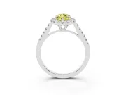 Marquise Raised Halo Engagement Ring Setting for a Fancy Yellow Lab-Grown Diamond | Platinum