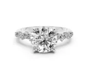 Round Cut Diamond Solitaire Vine Band Ring Set in Platinum with Round Accents and Prong Setting
