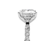 Princess Cut Pave Solitaire Engagement Ring Setting | Fine Line Pave Band | Platinum
