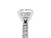 Princess Cut Diamond Solitaire Ring Set in White gold with Slim Pavé Band and Prong Setting