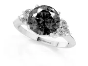Round Cluster Accent Engagement Ring Setting for a Black Center | Plain Band | Platinum