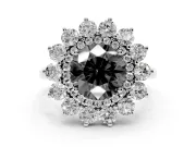Round Floral Double Halo Engagement Ring Setting for a Black Center | Plain Band | White Gold