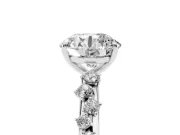 Round Cut Diamond Cluster Solitaire Ring Set in Platinum with Prong Setting