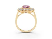 Princess Cut Floral Double Halo Engagement Ring Setting for a Fancy Pink Lab-Grown Diamond | Plain Band | Yellow Gold
