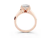 Princess Cut Diamond Halo Ring Set in Rose gold with Cathedral Band and Prong Setting
