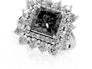 Princess Cut Floral Double Halo Engagement Ring Setting for a Black Center | Plain Band | Platinum