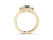 Fancy Black Oval Cut Diamond Three-Stone Ring Set in Yellow gold with Pavé Band and Graduated Sides