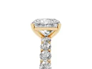 Radiant Cut Shared Prong Engagement Ring Setting | Two-Row Band | Yellow Gold