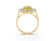 Round Floral Double Halo Engagement Ring Setting for a Fancy Yellow Lab-Grown Diamond | Plain Band | Yellow Gold