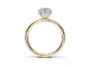 Round Hidden Halo Engagement Ring Setting | Thin Plain Band | Yellow Gold
