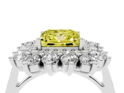 Princess Cut Floral Double Halo Engagement Ring Setting for a Fancy Yellow Lab-Grown Diamond | Plain Band | Platinum