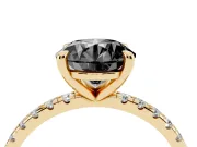 Fancy Black Round Cut Diamond Brilliant Solitaire Ring Set in Yellow gold with Pavé Band and Prong Setting