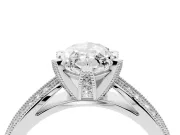 Marquise Cut Diamond Solitaire Ring Set in Platinum with Milgrain Double Row Round Pavé Band