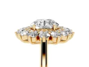 Round Floral Double Halo Engagement Ring Setting | Plain Band | Yellow Gold