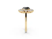 Round Floral Double Halo Engagement Ring Setting for a Black Center | Plain Band | Yellow Gold