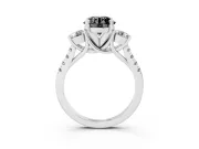 Fancy Black Three-Stone Round Cut Diamond Pavé Band Ring Set in Platinum with Prong-Set Trio
