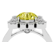 Round Milgrain Cluster Halo Engagement Ring Setting for a Fancy Yellow Lab-Grown Diamond | Plain Band | White Gold