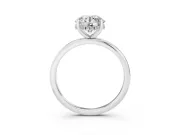 Round Micro-Prong Hidden Halo Engagement Ring Setting | Plain Band | White Gold