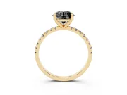 Fancy Black Round Cut Diamond Brilliant Solitaire Ring Set in Yellow gold with Pavé Band and Prong Setting